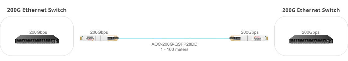 200G QSFP28-DD to QSFP28-DD AOC Connection Diagram